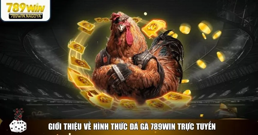 Đá gà 789win mang đến trải nghiệm cá cược trực tuyến hấp dẫn